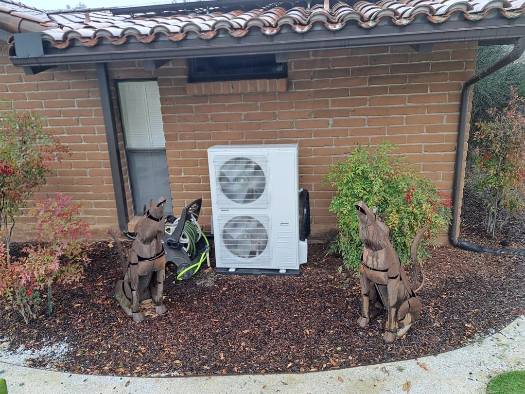 Wooden dog sculptures near an air conditioning unit and colorful garden plants.